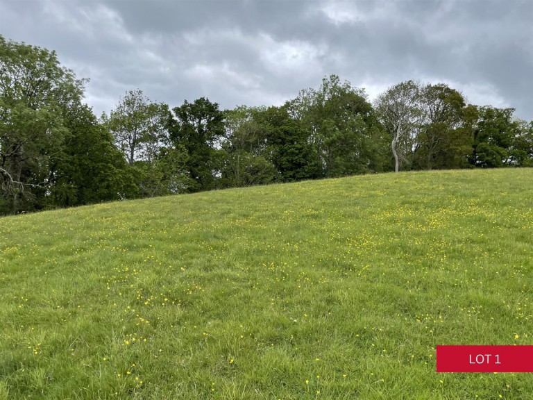 Images for Dunsford, Exeter