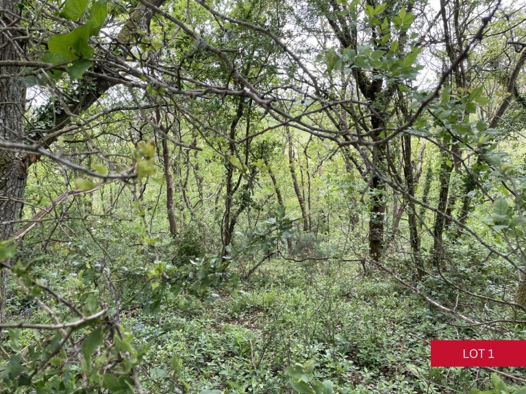 Images for Dunsford, Exeter