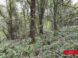 Images for Dunsford, Exeter