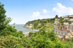 Images for Fore Street, Beer, Seaton