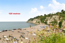 Images for Fore Street, Beer, Seaton