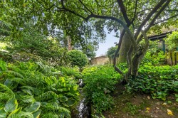Images for Main Street, Cottesmore, Rutland