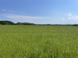 Images for Rackenford, Tiverton