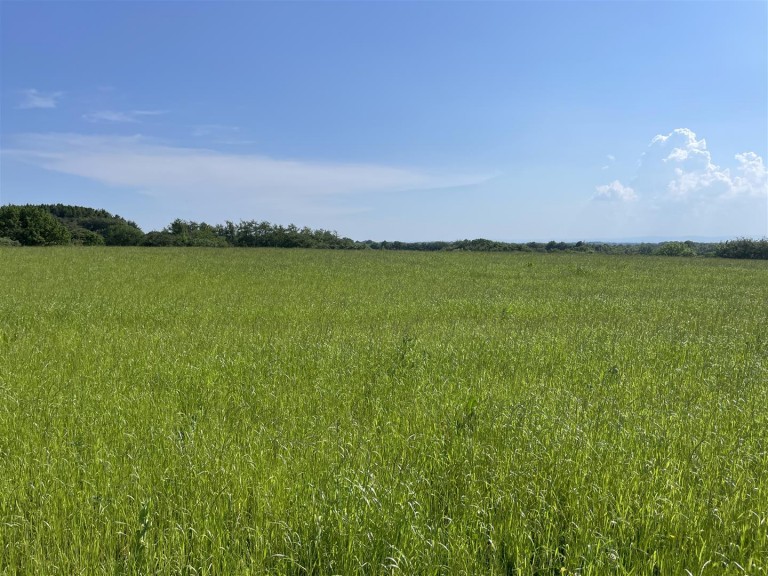 Images for Rackenford, Tiverton