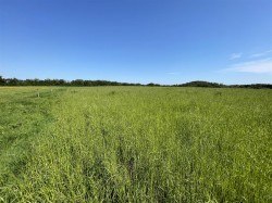 Images for Rackenford, Tiverton