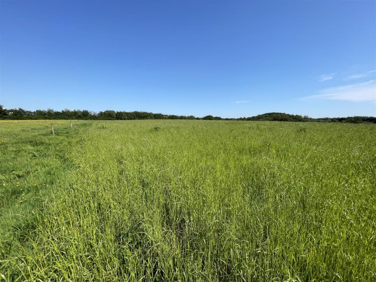 Images for Rackenford, Tiverton