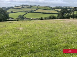 Images for Avonwick, South Brent