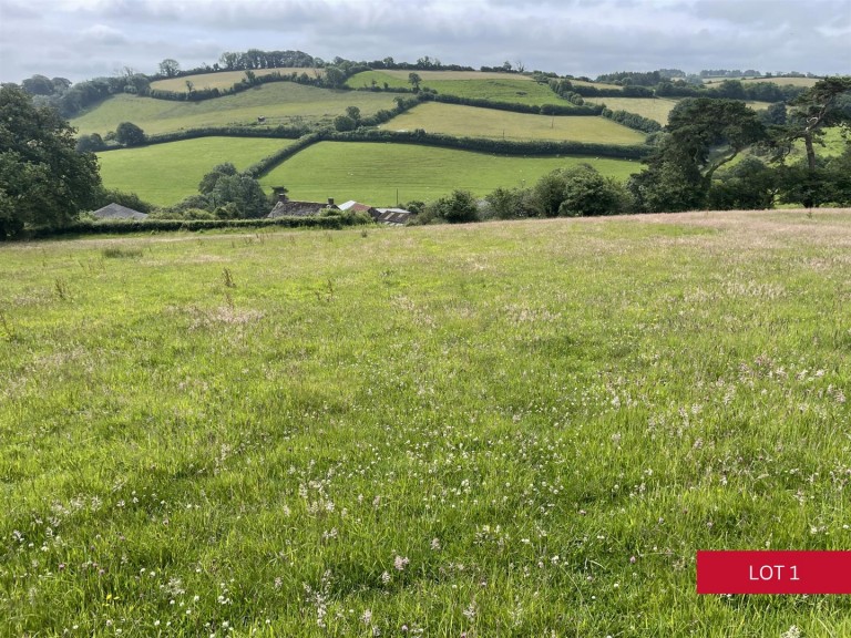 Images for Avonwick, South Brent