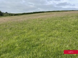 Images for Avonwick, South Brent