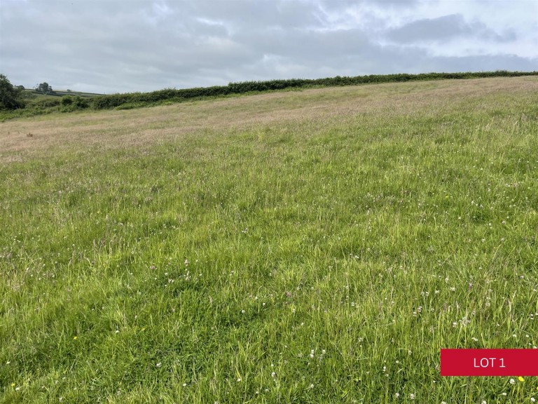 Images for Avonwick, South Brent
