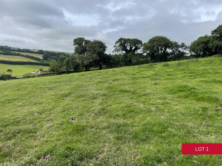 Images for Avonwick, South Brent