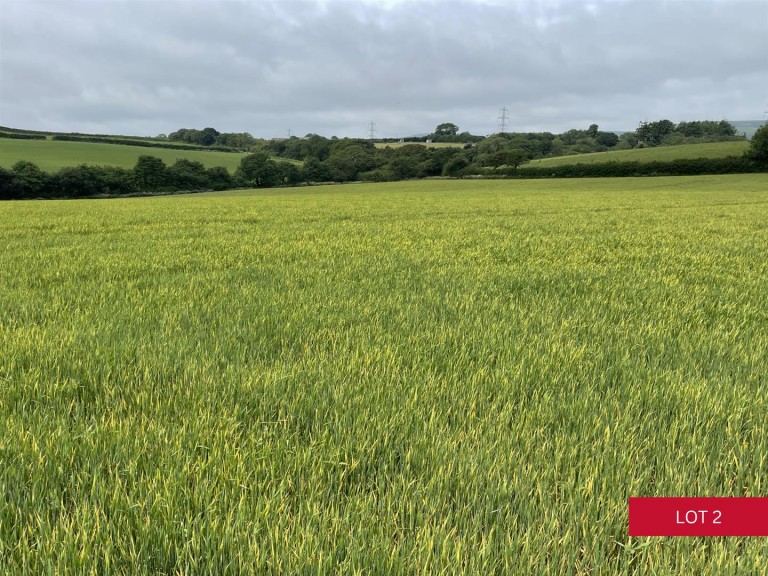 Images for Avonwick, South Brent