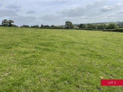 Images for Avonwick, South Brent