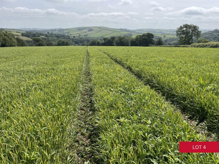 Images for Avonwick, South Brent