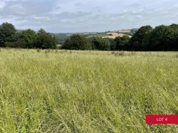 Images for Avonwick, South Brent