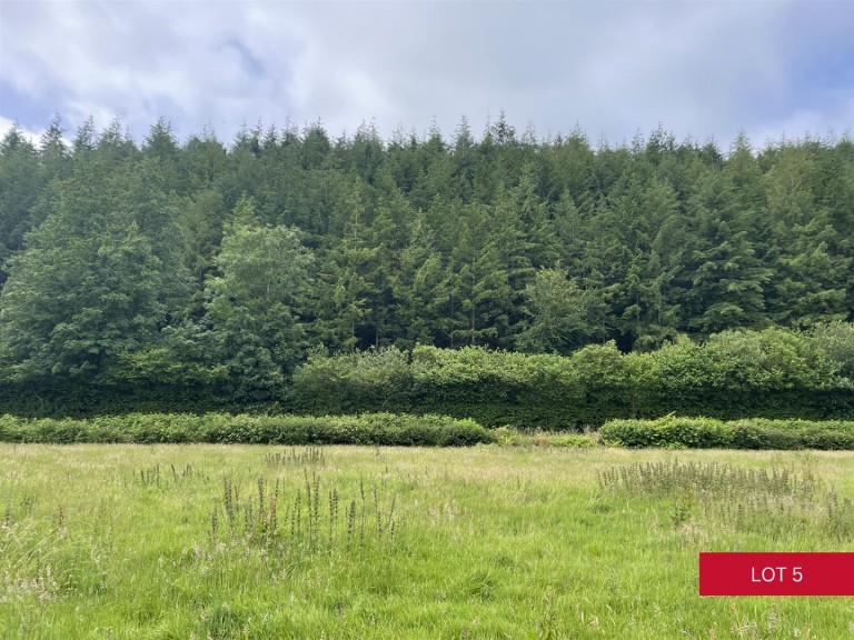 Images for Avonwick, South Brent