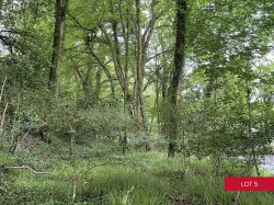Images for Avonwick, South Brent