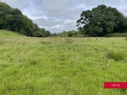 Images for Avonwick, South Brent