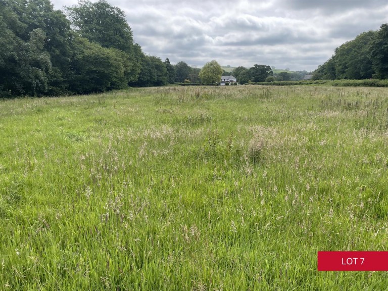 Images for Avonwick, South Brent