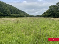 Images for Avonwick, South Brent