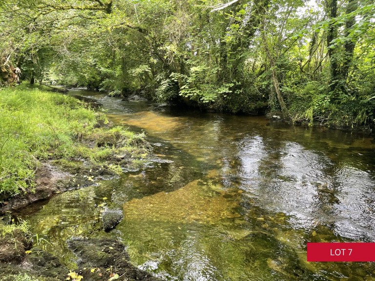 Images for Avonwick, South Brent