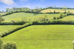 Images for Avonwick, South Brent