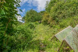 Images for Lower Kelly, Calstock