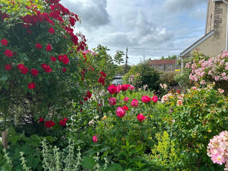 Images for Court Farm Close, Winsham, Chard