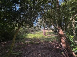 Images for Plantation Road, Poole