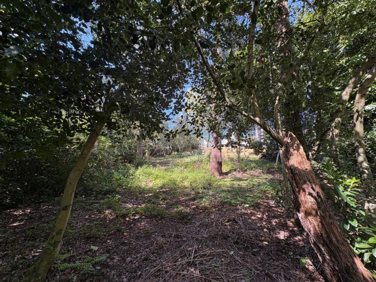 Images for Plantation Road, Poole