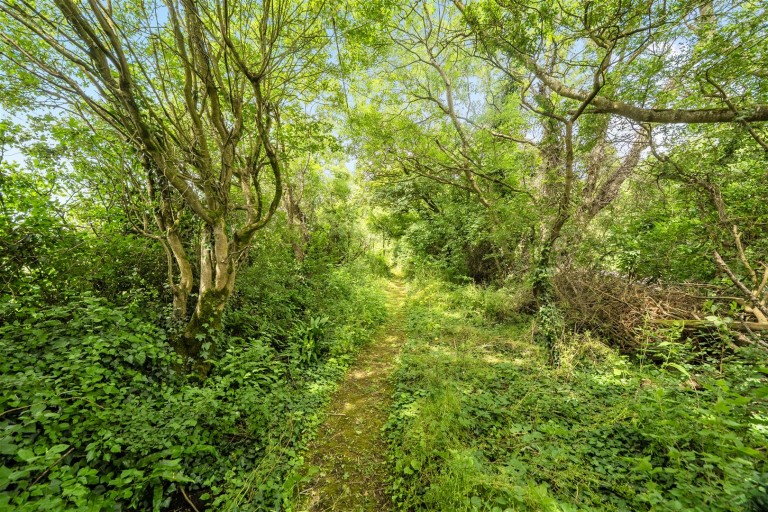 Images for North Wootton, Sherborne, Dorset