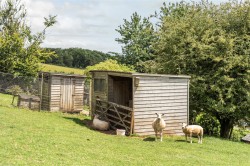 Images for Silverton, Exeter