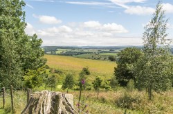 Images for Silverton, Exeter