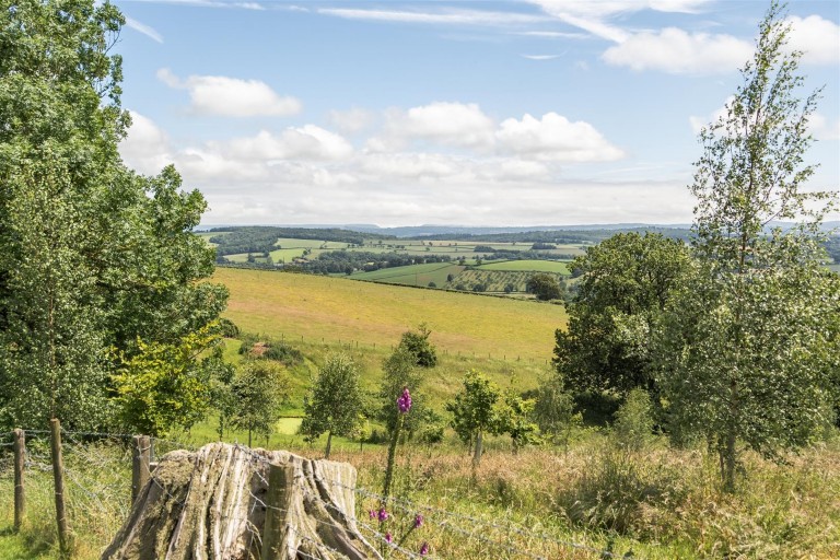 Images for Silverton, Exeter