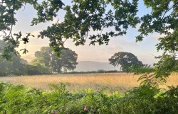 Images for Stockland, Honiton