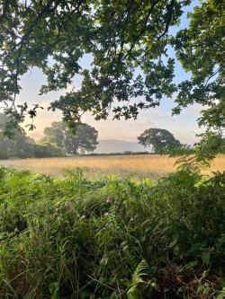 Images for Stockland, Honiton