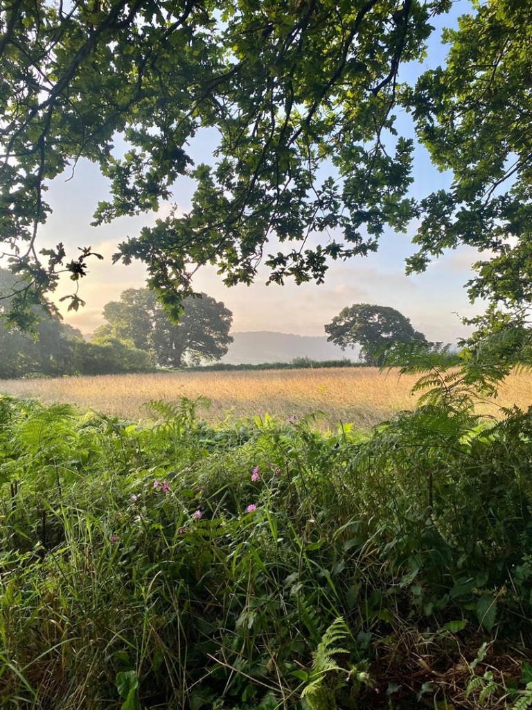Images for Stockland, Honiton