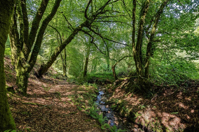 Images for Helland, Bodmin