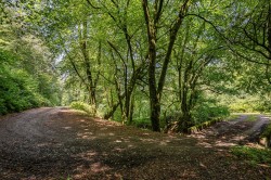 Images for Helland, Bodmin