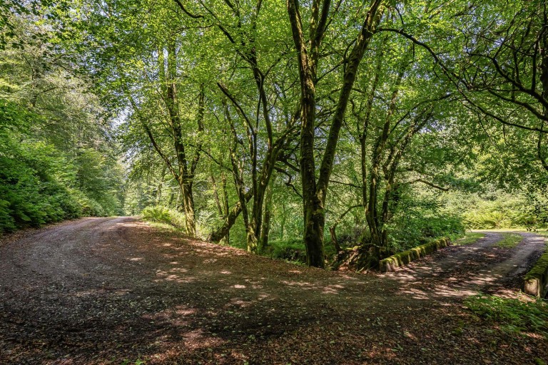 Images for Helland, Bodmin