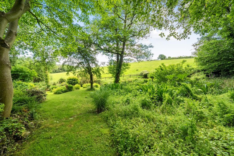 Images for Taw Valley