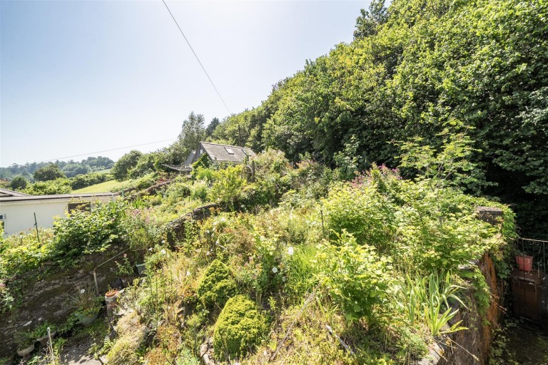 Images for Totnes