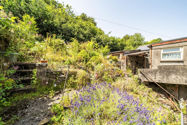 Images for Totnes