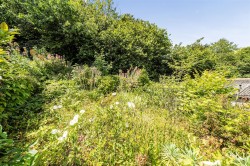 Images for Totnes