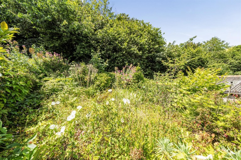 Images for Totnes