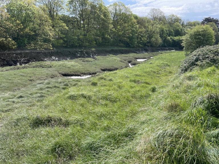Images for Landcross, Bideford