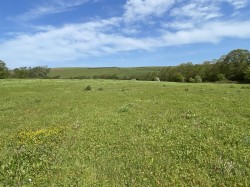Images for Landcross, Bideford