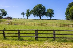 Images for Farway, Colyton