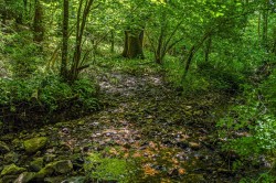 Images for Farway, Colyton