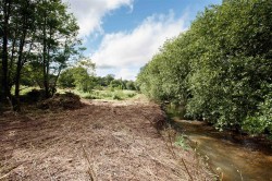 Images for Road Through Fairmile, Fairmile